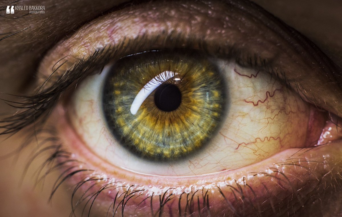 KBakkora's tweet photo. #Eye #Eyescape #Dubai #UAE #Macro #Nikon #Photography #Art #Zoom #Human #Green #Eyes #DXB
https://t.co/2xhq1wJgrD https://t.co/y5RDLB6zSE