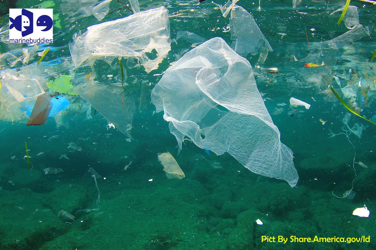 marbudsby's tweet photo. Dan hal2 yang paling merusak laut adalah sampah plastik & pencemaran minyak di laut. #SaveLaut @marinebuddies https://t.co/7PppK0INlE
