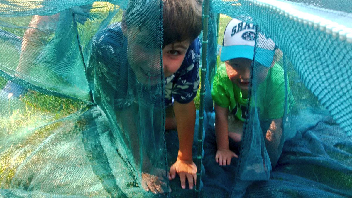 JasonBarnucz's tweet photo. Working on "turtle proofing" our new Fyke Nets. They are kid proof at least! #fisheries #research #kids #workcabin https://t.co/9zO7r6eQOW