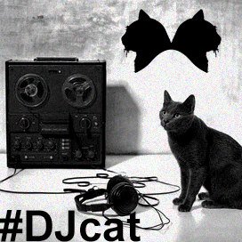 chachaclubparis's tweet photo. Bonne semaine les Chats ! #DJcat #club #paris #event #restaurant #commealamaison #ChachaClub https://t.co/hGPz3wF5Ii