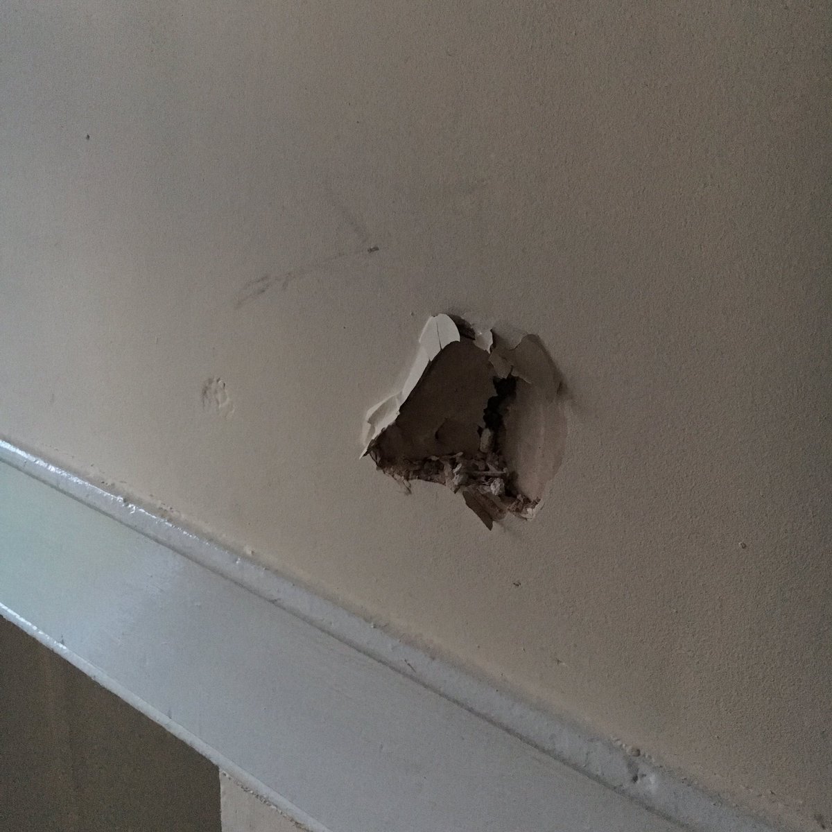 StevenPritch's tweet image. This is what happens when you have a delivery from @Argos_Online #fuming