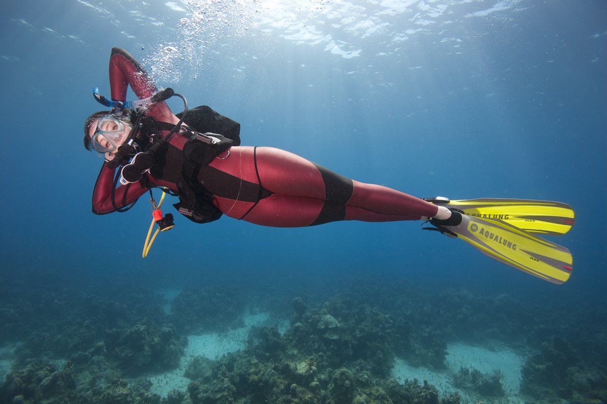 squalodivers tweet picture