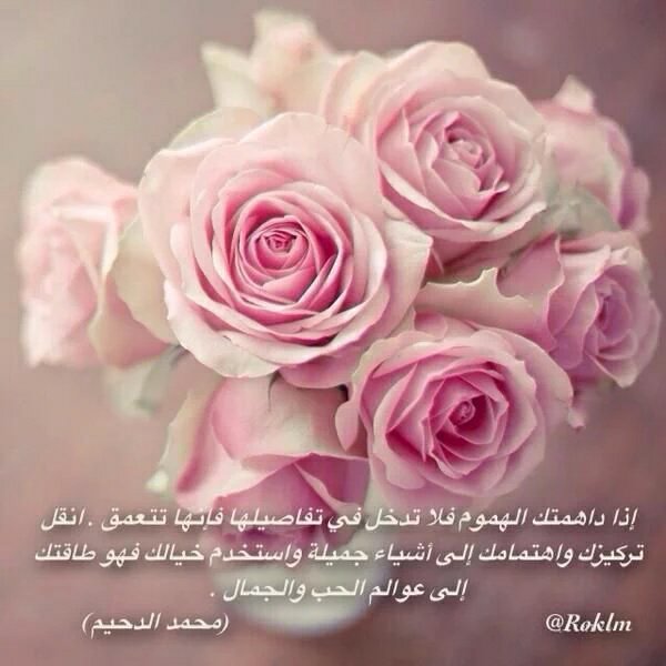 PicIslamic tweet picture