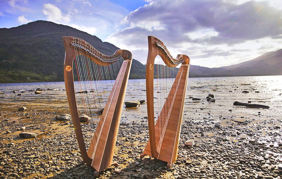 Killarney Harps tweet media