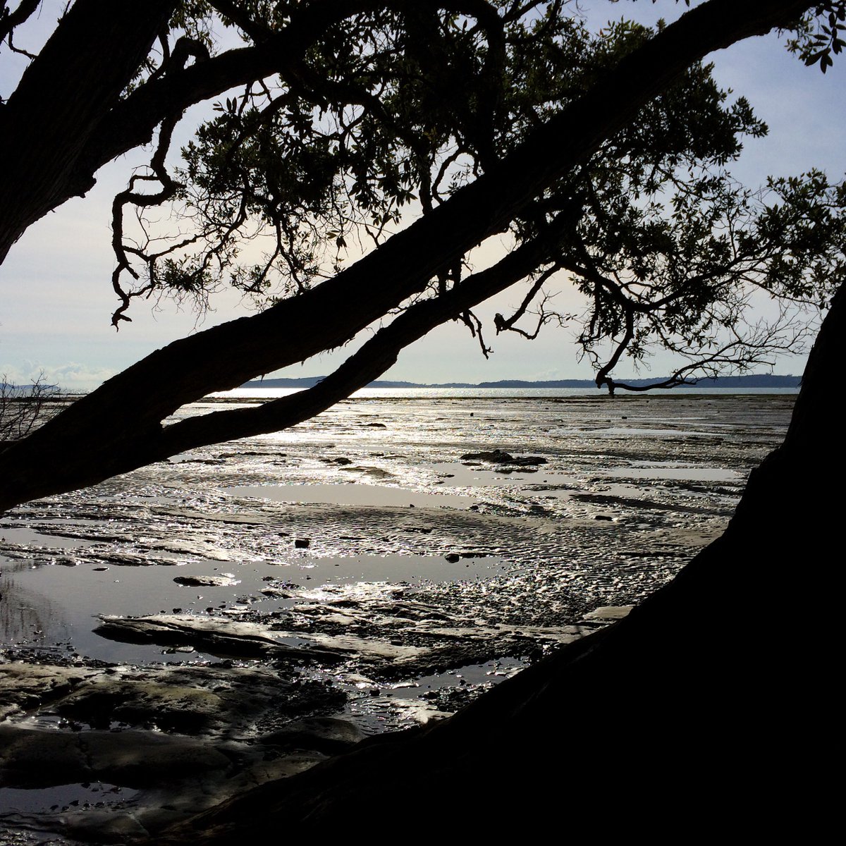 laetisses's tweet photo. New Zealand #NZ #Newzealand #beautifulday https://t.co/6NuY3yGH0t