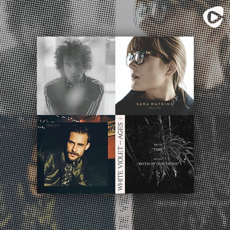 Brandy Campbell (brandycam) Twitter