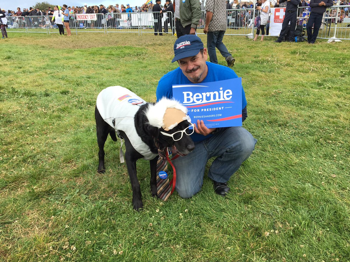 NationalNurses's tweet photo. Frisco aka #berniedog at Crissy Field sets the mood for tonight's rally #FeelTheBern #BernieInSF https://t.co/C9PuR0WnOq