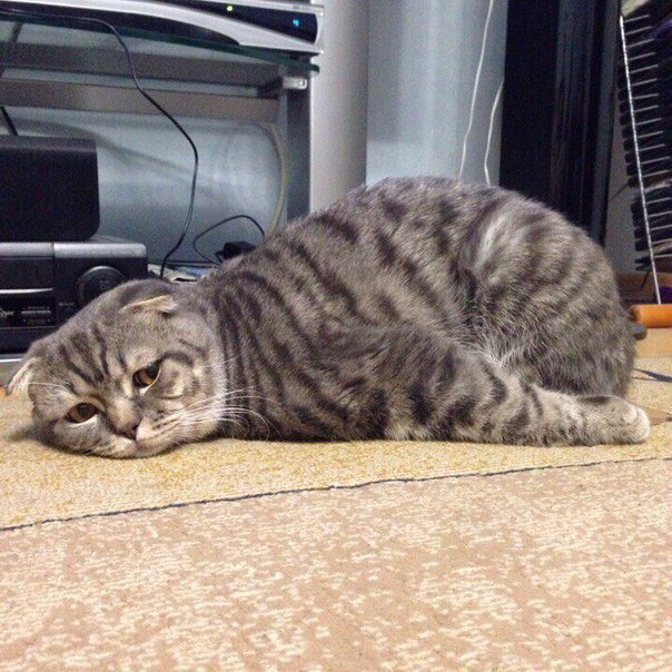 Queries have gone out...&amp; now we wait... #amwriting #writerslife