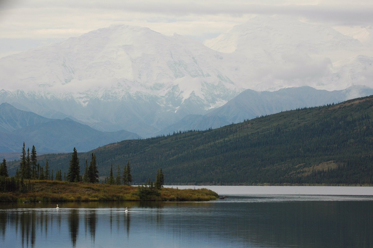 DenaliNPS's tweet photo. "Adopt the pace of nature. Her secret is patience"       -Ralph Waldo Emerson 
#MotivationMonday #FindYourPark https://t.co/0876bWn1M8