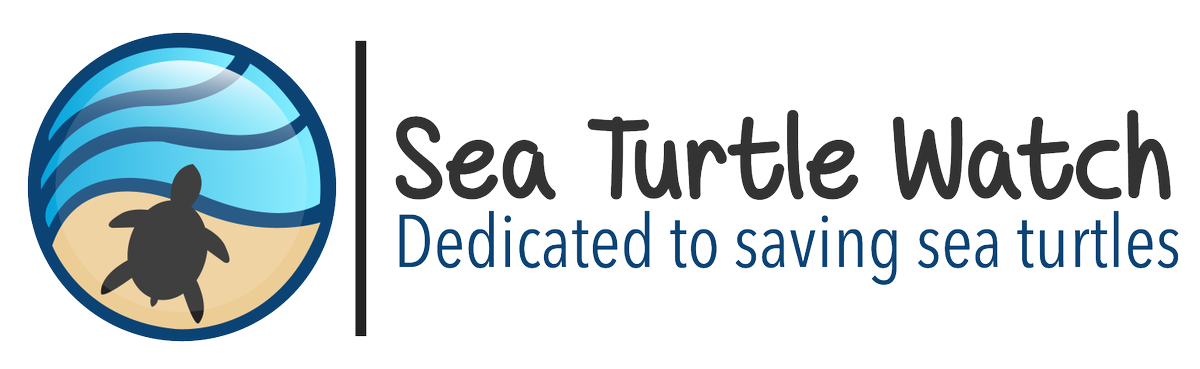 Sea Turtle Watch tweet media