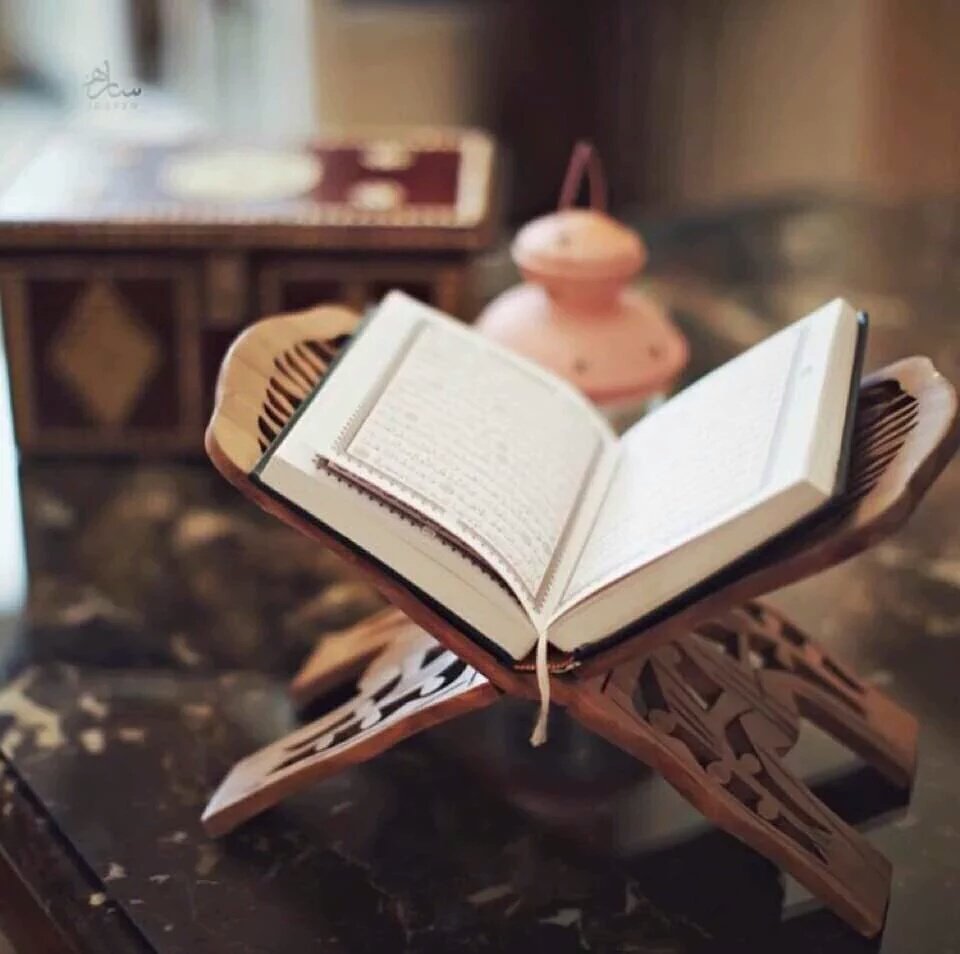 msaalhjry's tweet photo. في لجّة الحياة ما يشغل المرء عن ذاته وتأملاتها الخاصة!
ليكن شهرنا هذا شهر تأمل وسكينة
كل عام وأنتم بخير أيها الأعزاء https://t.co/0SkKrDy5Fd