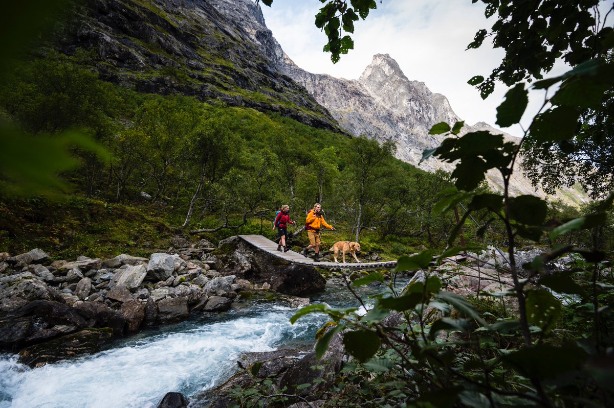 GrandBellevue's tweet photo. Vandring i verdensklasse
#åndalsnes #reiseliv #visitnorway #besafie #fjordnorway #norway
Foto:M.Fredrisson https://t.co/NjoyIy2NvN