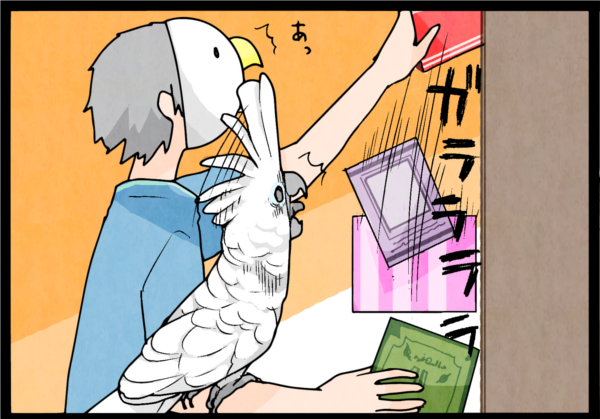 マイナビニュースでオウム４コマ更新しました！
オウムはビビると･･･

オウム４コマリンク
 … 