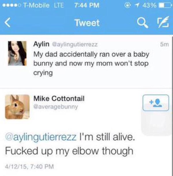 CauseWereGuys's tweet photo. Why I still get on Twitter https://t.co/b0v2u16R5l
