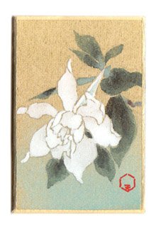 日本の誕生花 ６月７日の誕生花 梔子 くちなし 花言葉 喜びを運ぶ 実のならない八重の方が見応えのある大きな花房をつけ 実は実用として古くから黄色の上品な染料として用いられてきました 香りの高さは天下一品 T Co Kpokcgvepv