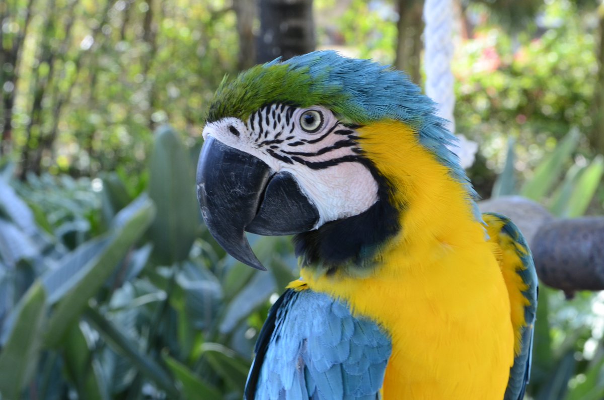 Meet new #Friends <a href="/MorgansRock/">Morgan's Rock</a> #Nicaragua #LuxuryTravel #CentralAmerica