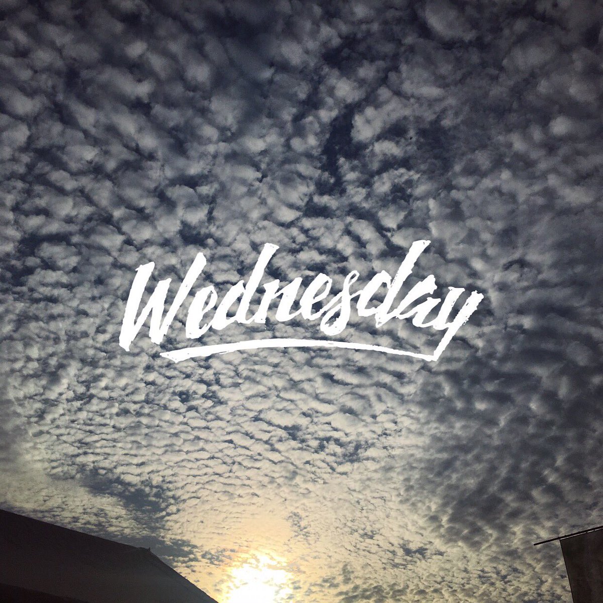 offbriefrunning's tweet image. Stoked to get back to #NRC this Wednesday with our run crew! #4run6 #runTO #runclub #adlife