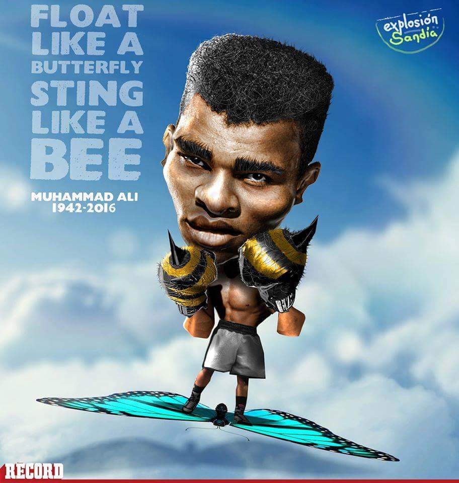 alandomcha143's tweet photo. Adiós al deportista, hola a la leyenda👊 #MuhammadAli https://t.co/8P1NtiyzW2