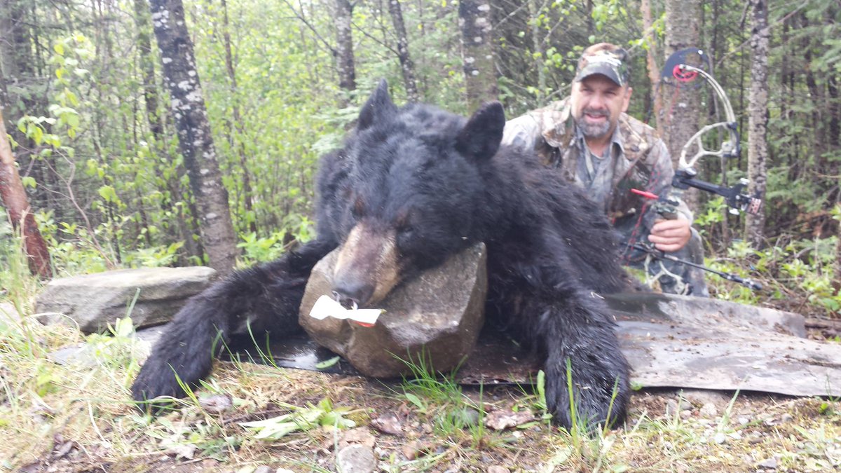 Hitmen Canada's Anthony Dickson took this beauty Ontario spring bear
<a href="/PSEBows/">PSE Archery</a> <a href="/flyingarrowusa/">Flying Arrow Archery</a>