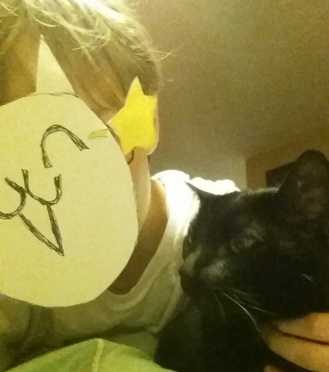 YaBoiGarnoot's tweet photo. @PONOS_EN #HugYourBattleCat https://t.co/CEhqxjd1Q6