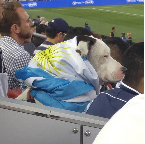 PasionRiverRP's tweet photo. Rodrigo Palacios observó el partido desde la Tribuna. https://t.co/zdrR0Nc0Md