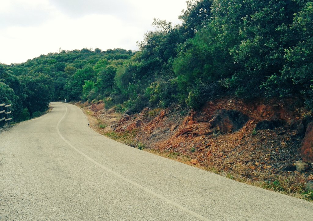 No matter the road, #cycling is the way