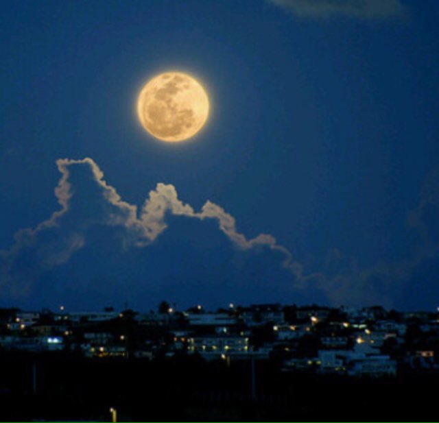 أعلم ان اللہ سيصلح كل شيء
 بطريقہ مبهرة فَ لا تحزن🌾❤️