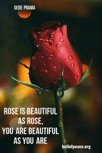 Let me share this rose to beautiful heart on earth #JoyTrain
bellofpeace.org