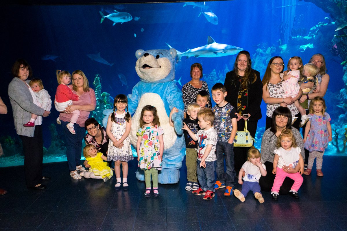 HarrietJax's tweet photo. Our theme for National #Bookstart Week is Under the Sea - a great excuse to visit @thedeephull #charitytuesday https://t.co/wNUYmlwqsh