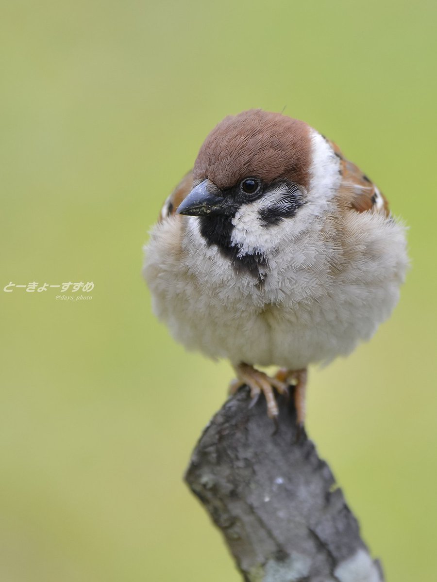 寂しい時 寂しい時