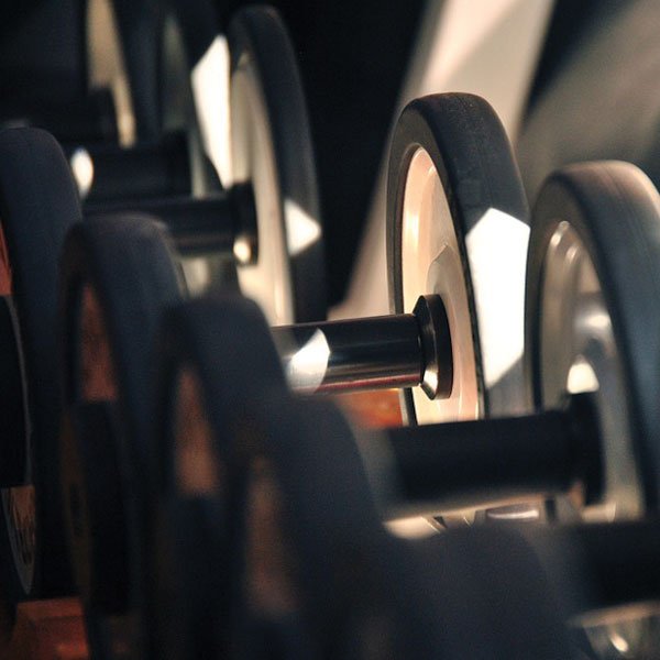 thegenielocker's tweet photo. Fitness fanatic - take a look at our #gym #genielocker list https://t.co/BvXeZgoQ8X #wishlist #giftlist https://t.co/A9O9jHMqMC