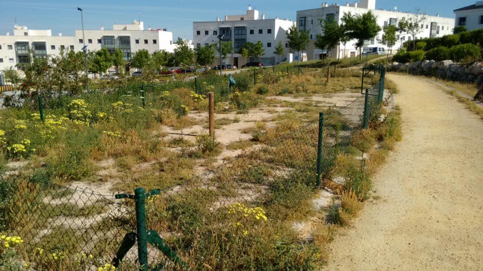 PSOEMEDINA's tweet photo. Dejadez, peligro y abandono del Prado de la Feria por el gobierno local de IU. Foto: Parque Cristobal Colón. https://t.co/YYU7GFFJE0