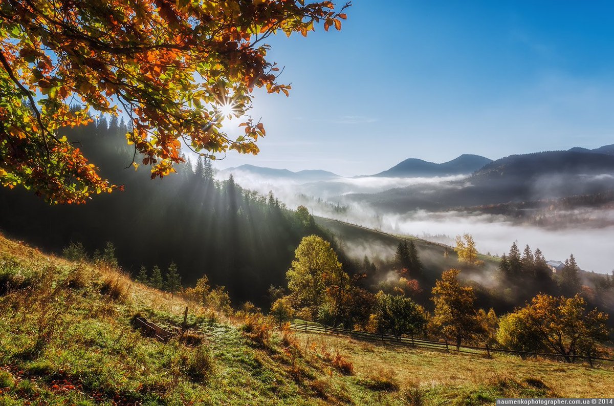 Liniyamilya's tweet image. 