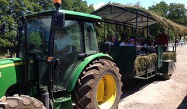 MilletsFarm's tweet photo. FREE to visit Family event Farm Fete this weekend at Millets Farm - are you coming?? https://t.co/QHKsjCfPlD https://t.co/jUK56zTphu