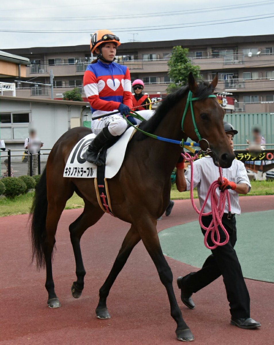 パカパカ工房 第46回東海ダービー Sp 2着入ったのはキタノアドラーブル 笠松 栗本陽一厩舎 鞍上は木之前葵騎手 兄弟子大畑騎手とのワンツー決着 馬をあてがわれての出走じゃなくて自分で掴んだチャンス 大レースに乗る事が特別ではなくなった