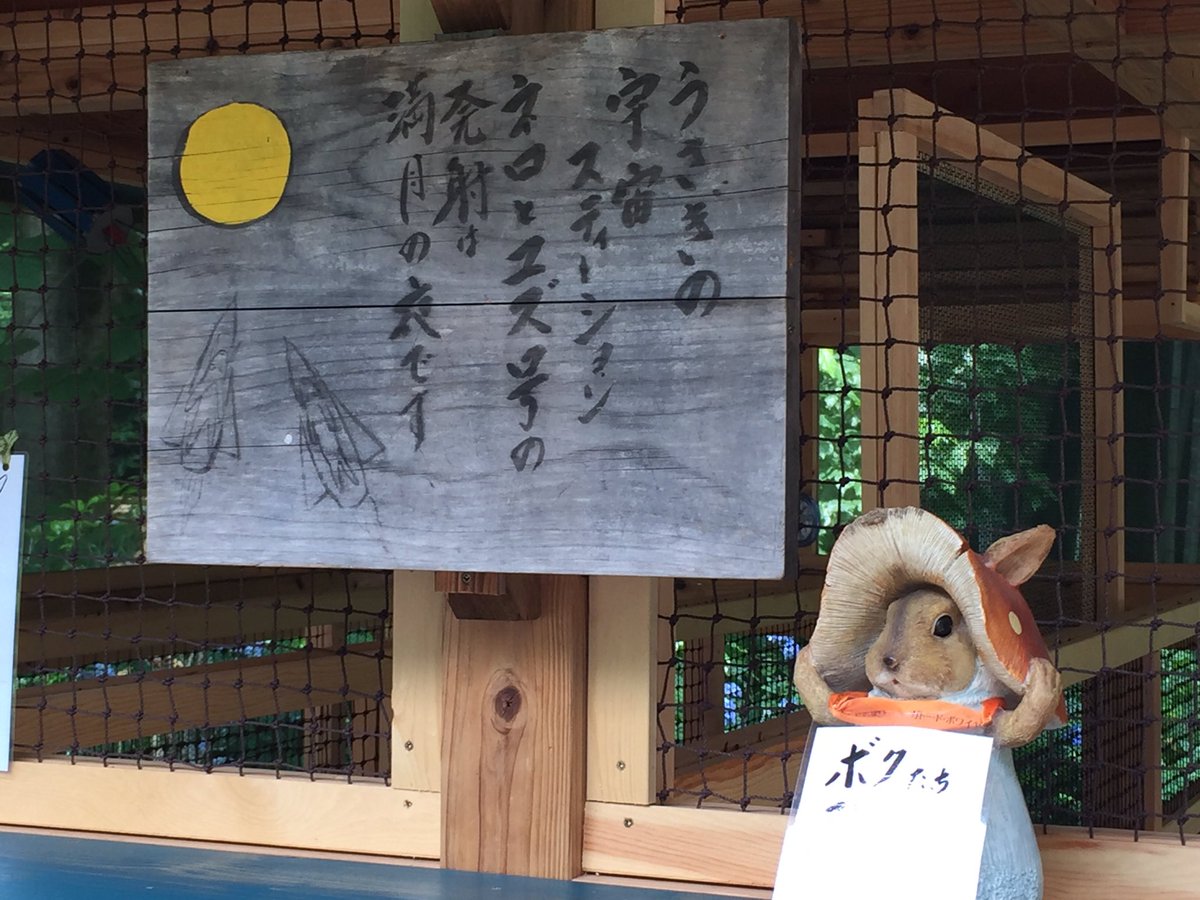 しらとあきこ ほんもののうさぎさんもいました 宇宙ステーション のももちゃん カメラ目線をいただき 鎌倉 明月院 しらとあきこ ほんもののうさぎさんもいました 宇宙ステーション のももちゃん カメラ目線をいただき 鎌倉 明月院