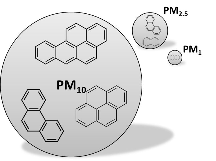 AtlasOfScience's tweet image. What does “I need to breathe some pure air” really mean? - 
When people live in urban env... atlasofscience.org/what-does-i-ne…