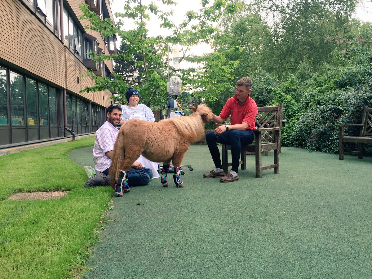 Two of my fave visitors came to see me ☺️ thank you <a href="/tomgrant1/">Tom Grant</a> &amp; #dorisbear, love you loads and loads #tophospital