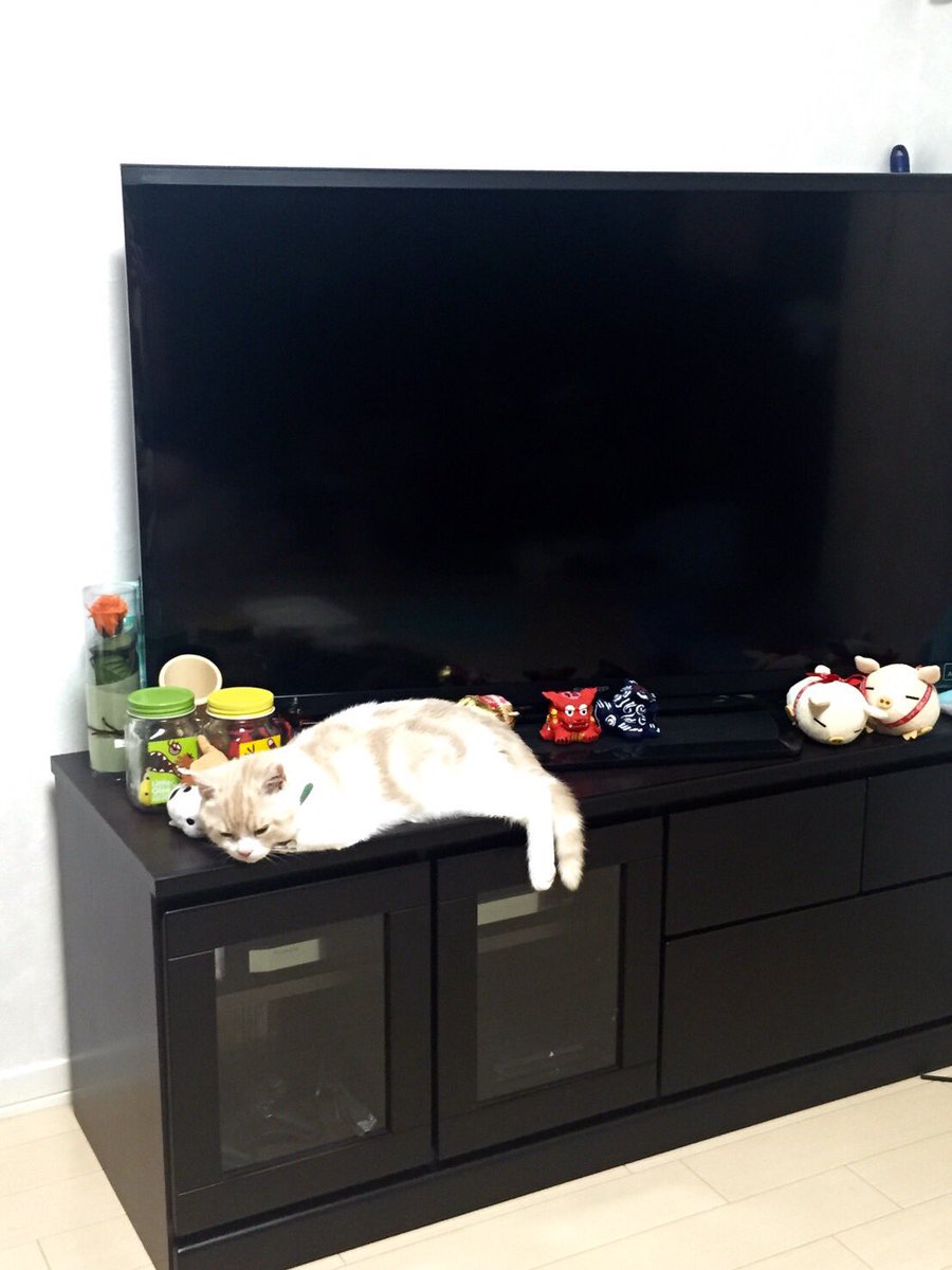 なのたろす なのたろす