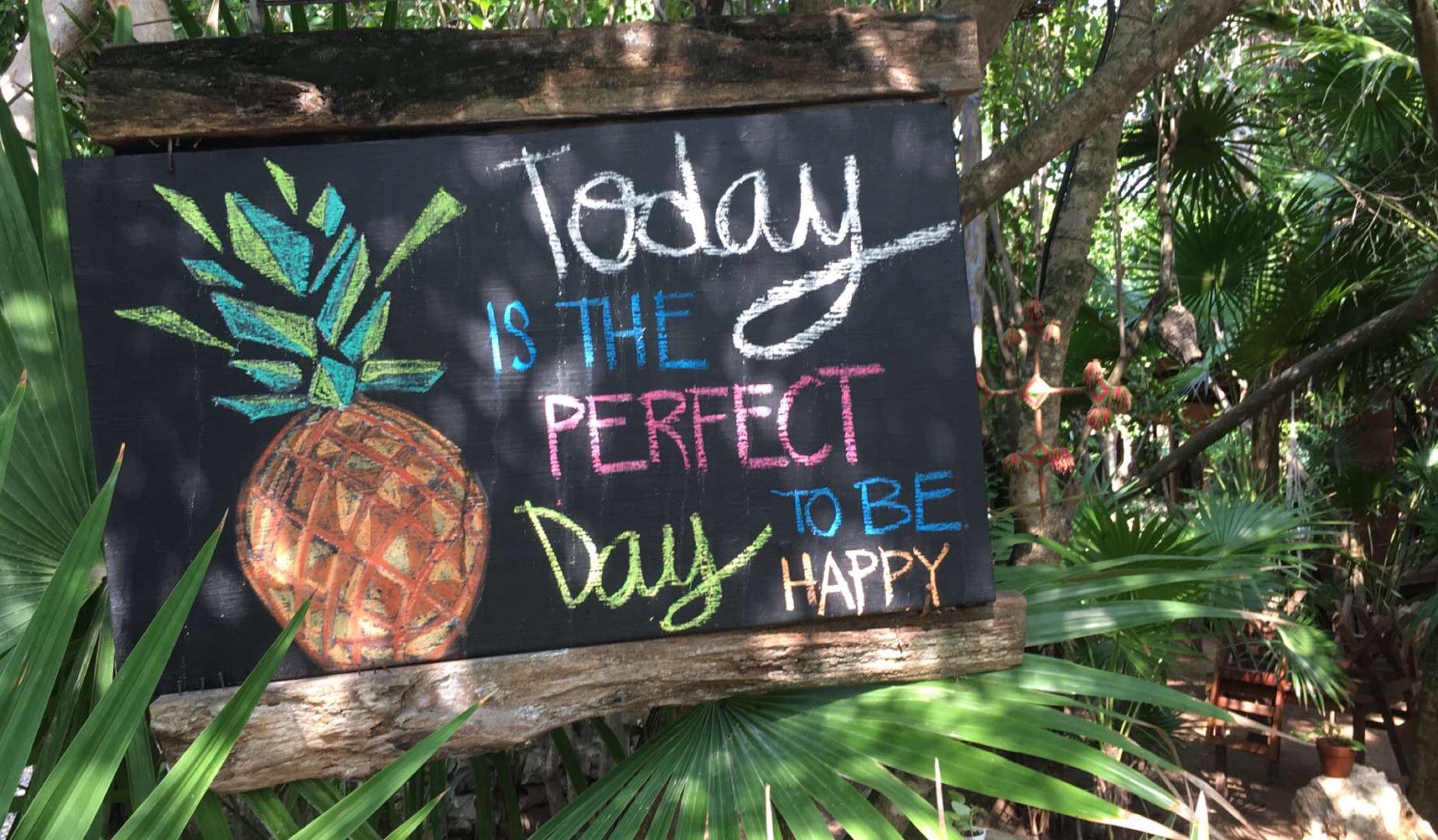 Alfredo Flores on Twitter "6.7.16 https//t.co/1oDCbo35Wd" / Twitter