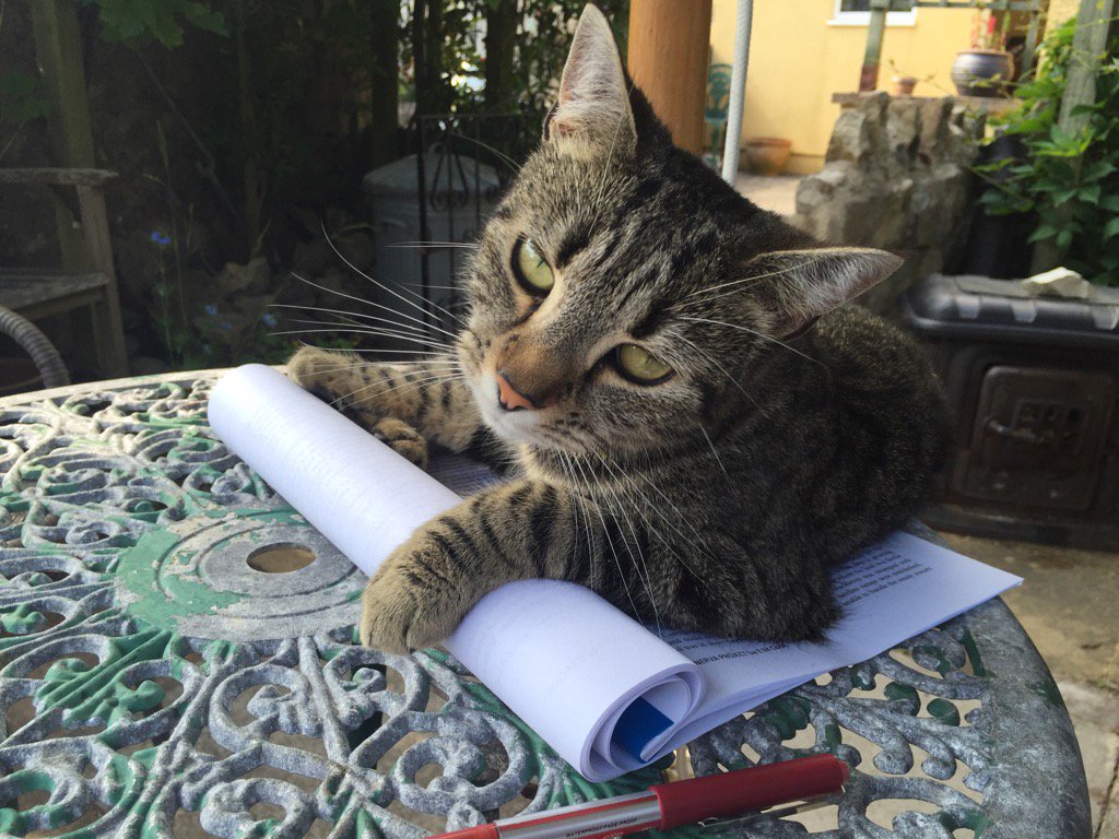 elsbels71's tweet photo. So what do you think of the latest draft, Shiny?
#am writing #amediting #TheMinervaProject https://t.co/tmFBaCX6aT