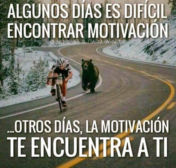 CaparrosoRafael's tweet photo. Suele suceder este tipo de motivaciones y Mas aca en Alaska el pan de cada dia 😂😂 https://t.co/1RxYocpWCn