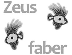 Scurion's tweet image. Wir begrüssen einen weiteren @Scurion-Händler in Deutschland, in Erbach bei Ulm!
zeus-faber.de