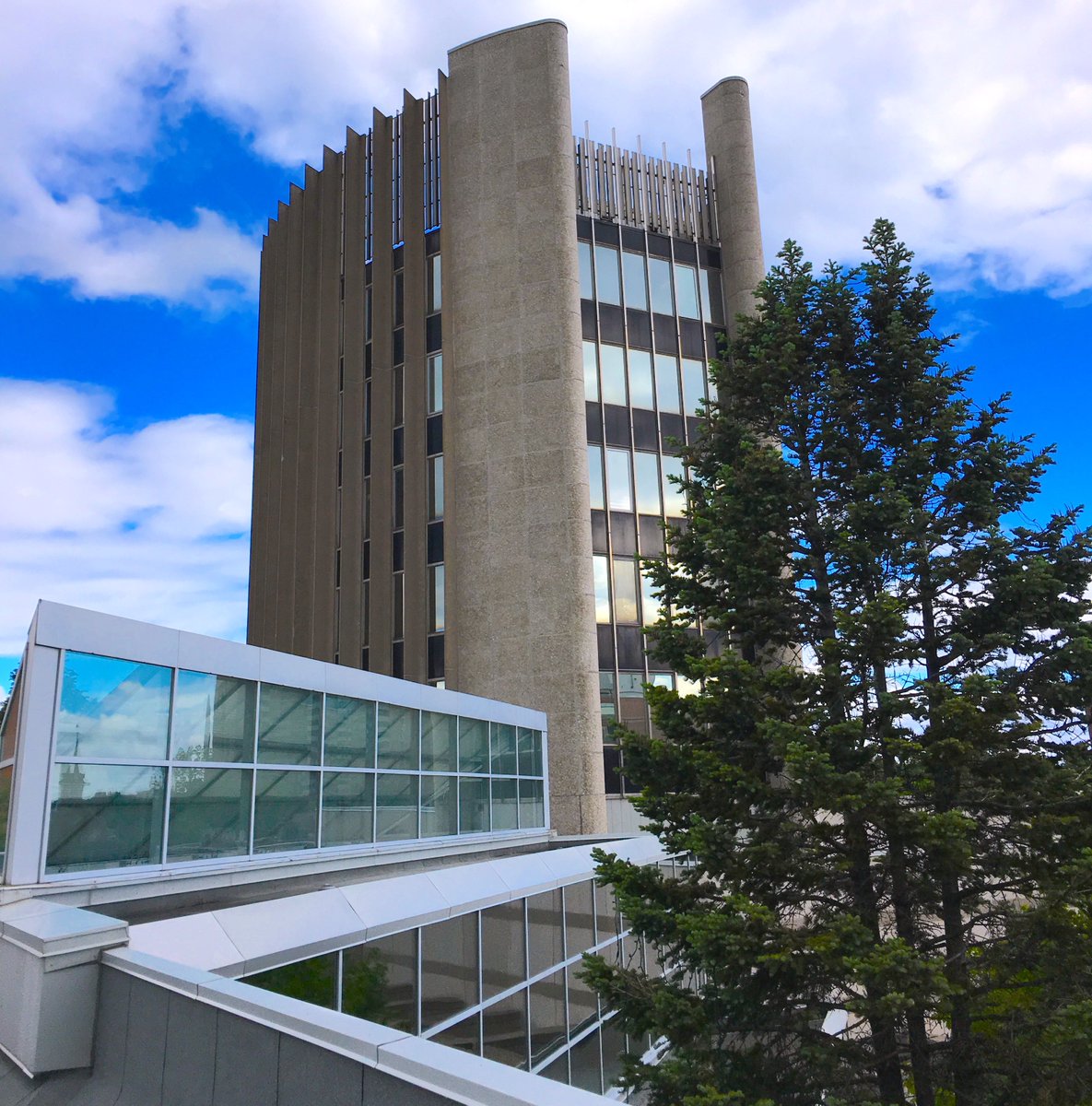 SunriseBuilds's tweet image. The view atop Burlington's City Hall!  #potentialproject #construction #burlON