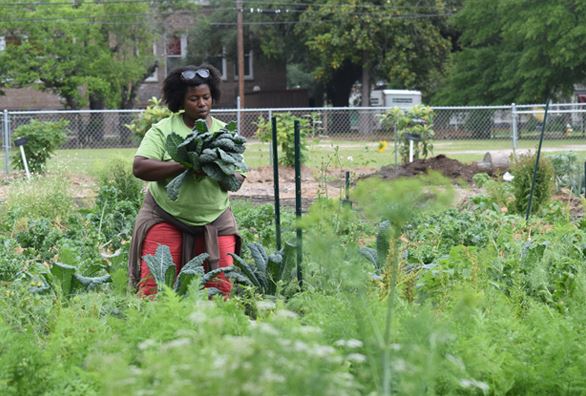 AshleyBHeff's tweet photo. Farm store brings fresh produce back to Chicora-Cherokee https://t.co/OMkyVyh4kZ #chsnews @CRBJ @FreshFutureFarm https://t.co/PNGuHkHG7T