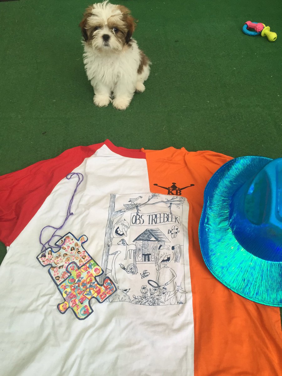 ojbstreebeek's tweet photo. @A4DHoensbroek Shirt ✔️ hoed ✔️puzzelstukje ✔️
Wij van de Fusieschool in Treebeek zijn klaar om 4 dagen te knallen https://t.co/x1iUxEzIQM
