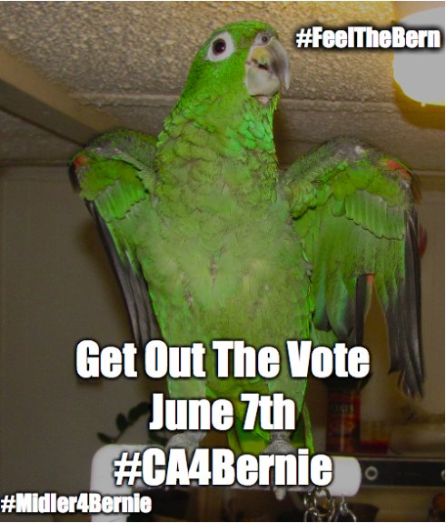 aerwaves_'s tweet photo. @Europe4Sanders #CAPrimary #GOTVforBernie #ForThePeople #PoliticalRevolution #Midler4Bernie https://t.co/OHIhGVmU08