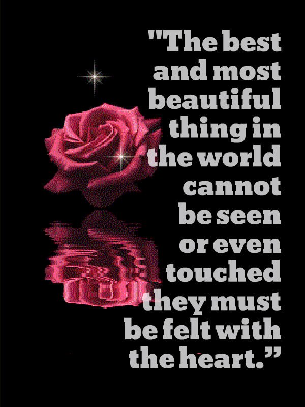 bulk_software's tweet image. The #best and most #beautiful thing in the world cannot be seen or even touched they must be felt with the #heart.