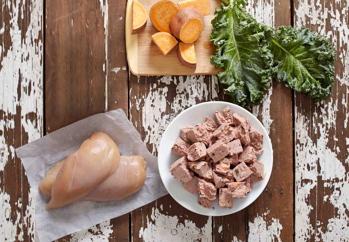 BestPetCOM's tweet photo. #Freshpet Dog Food Vital Raw has probiotics,raw chicken/beef,sweet potatoes,spinach,kale. https://t.co/C3ArOwHp35 https://t.co/mMmmrm00mb