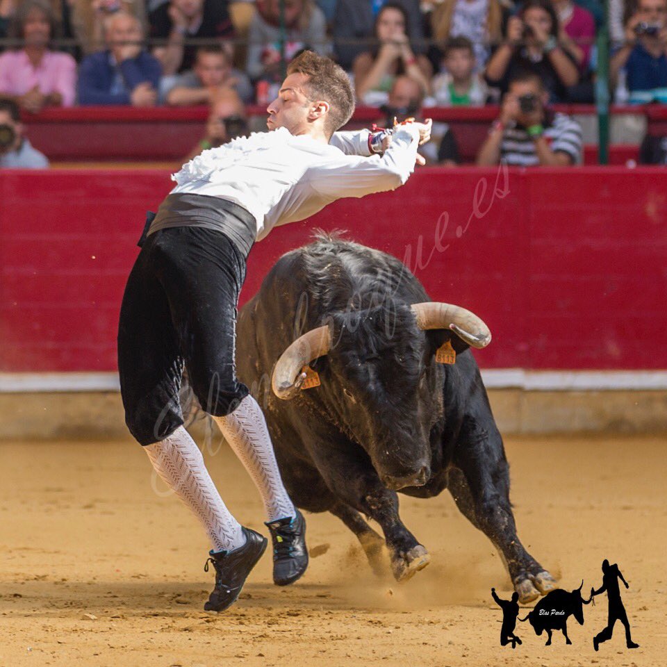 elembroque's tweet photo. Javier Asenjo en Zgz #campobravo #campo #toreo #traficion #toreoacuerpolimpio … https://t.co/nA1SlDLrYn https://t.co/eFLPu8EDSZ
